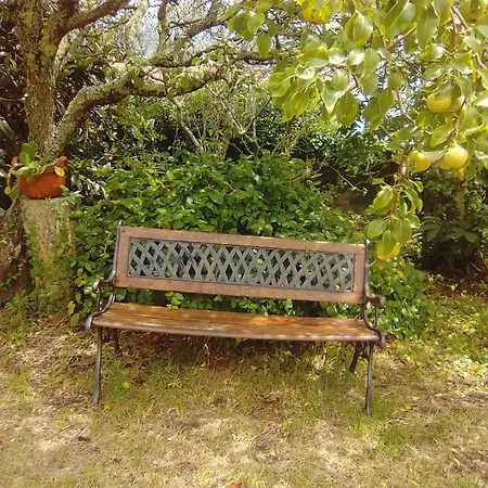 Casa Da Costa Esteiro Holiday home